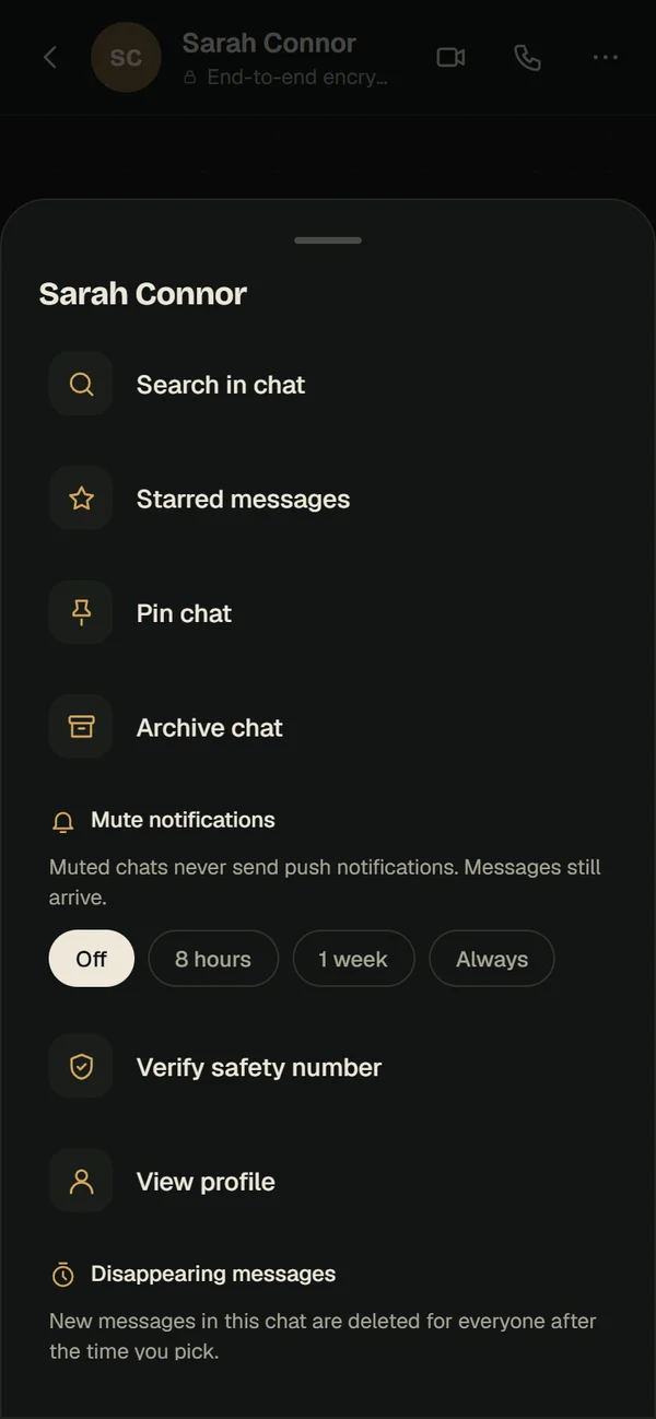 Vero chat options: search, starred, pin, archive, mute, verify safety number, view profile, disappearing messages